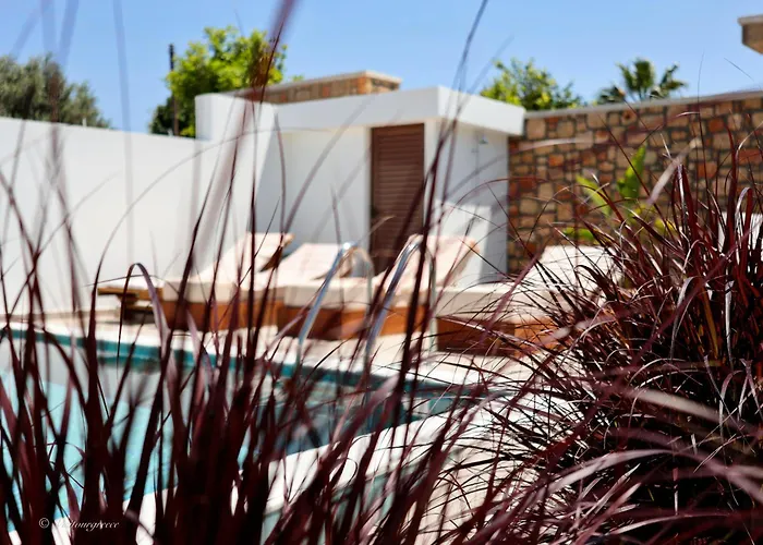 Valantina's & Mannouel Luxury Villa